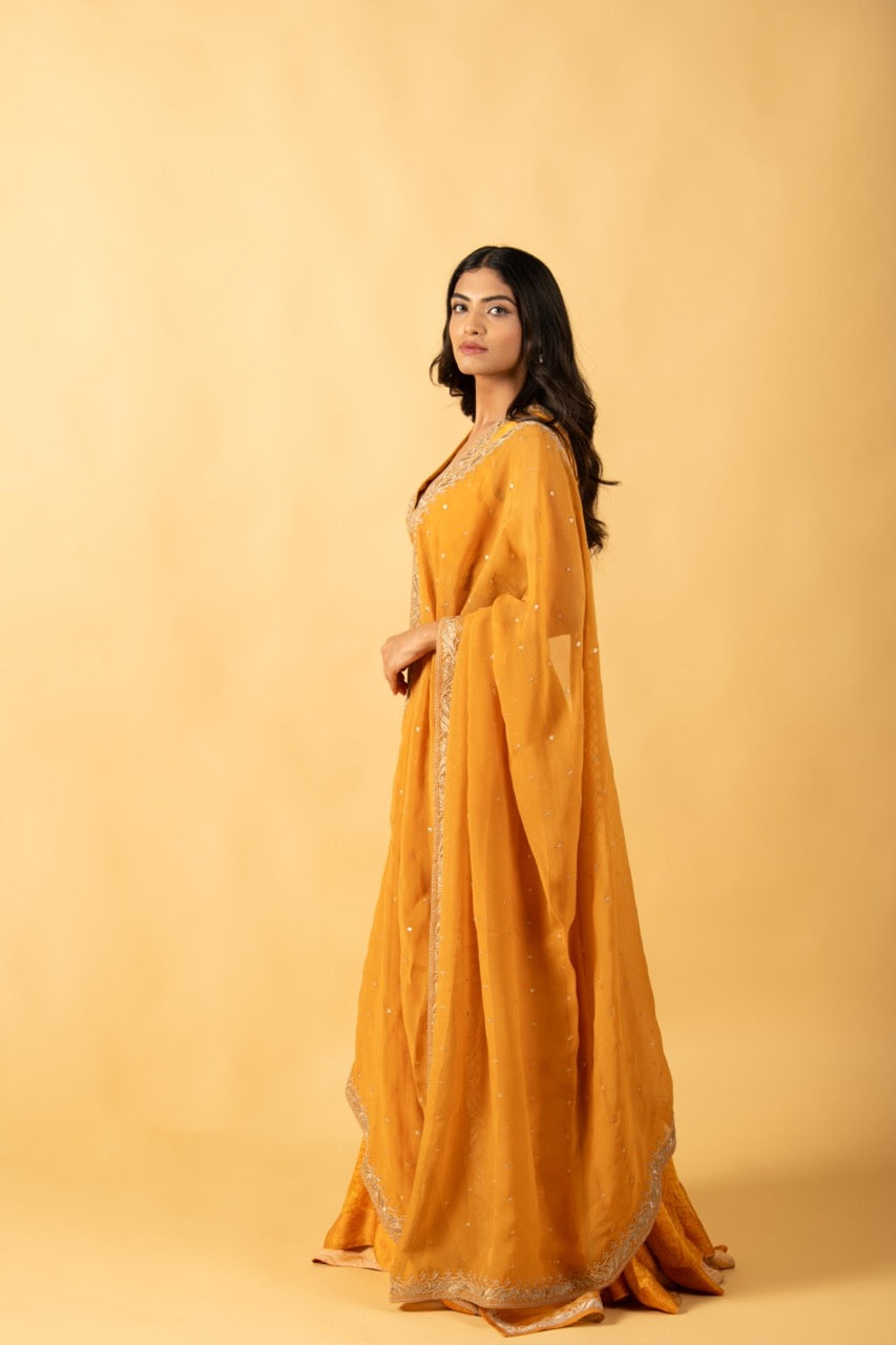 Amber Lehenga