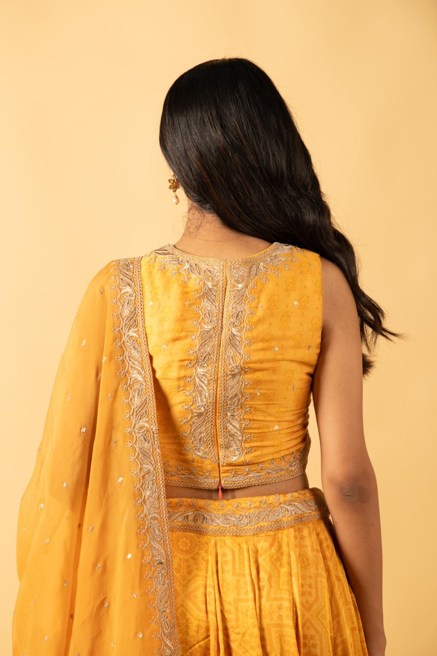 Amber Lehenga