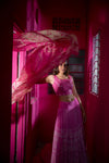 Noor Mirror Lehenga Set in Pink